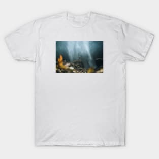 East Java Waterfall T-Shirt